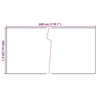 Balcony Screen Black 300x100 cm Poly Rattan