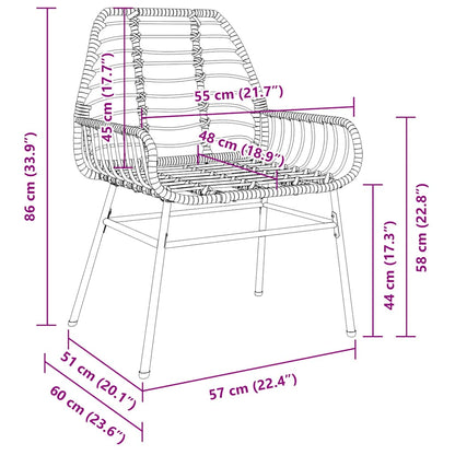 Garden Chairs 2 pcs Black Poly Rattan