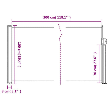 Retractable Side Awning Brown 100x300 cm