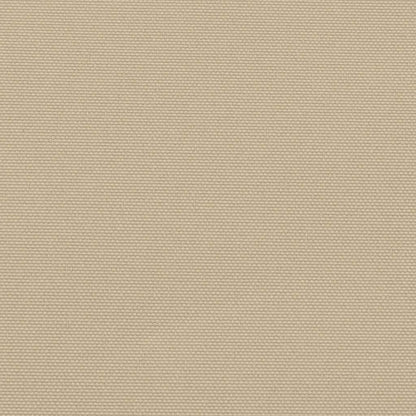 Retractable Side Awning Beige 160x300 cm