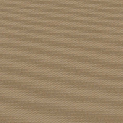 Retractable Side Awning Taupe 160x300 cm