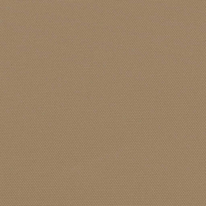 Retractable Side Awning Taupe 170x300 cm