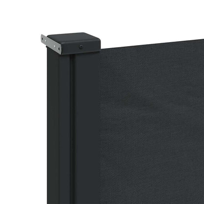 Retractable Side Awning Black 220x300 cm