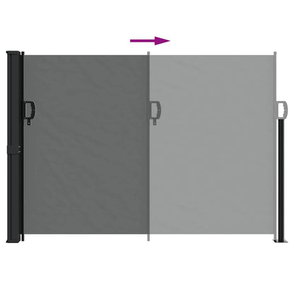 vidaXL Retractable Side Awning Anthracite