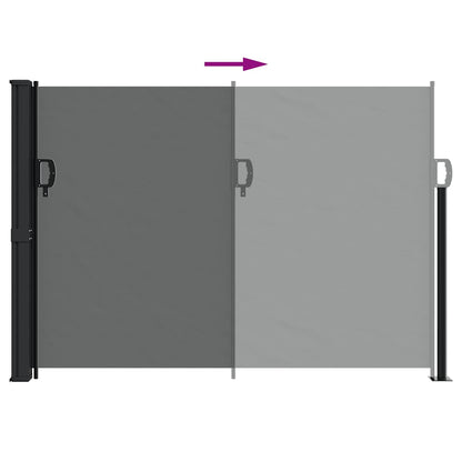 vidaXL Retractable Side Awning Anthracite