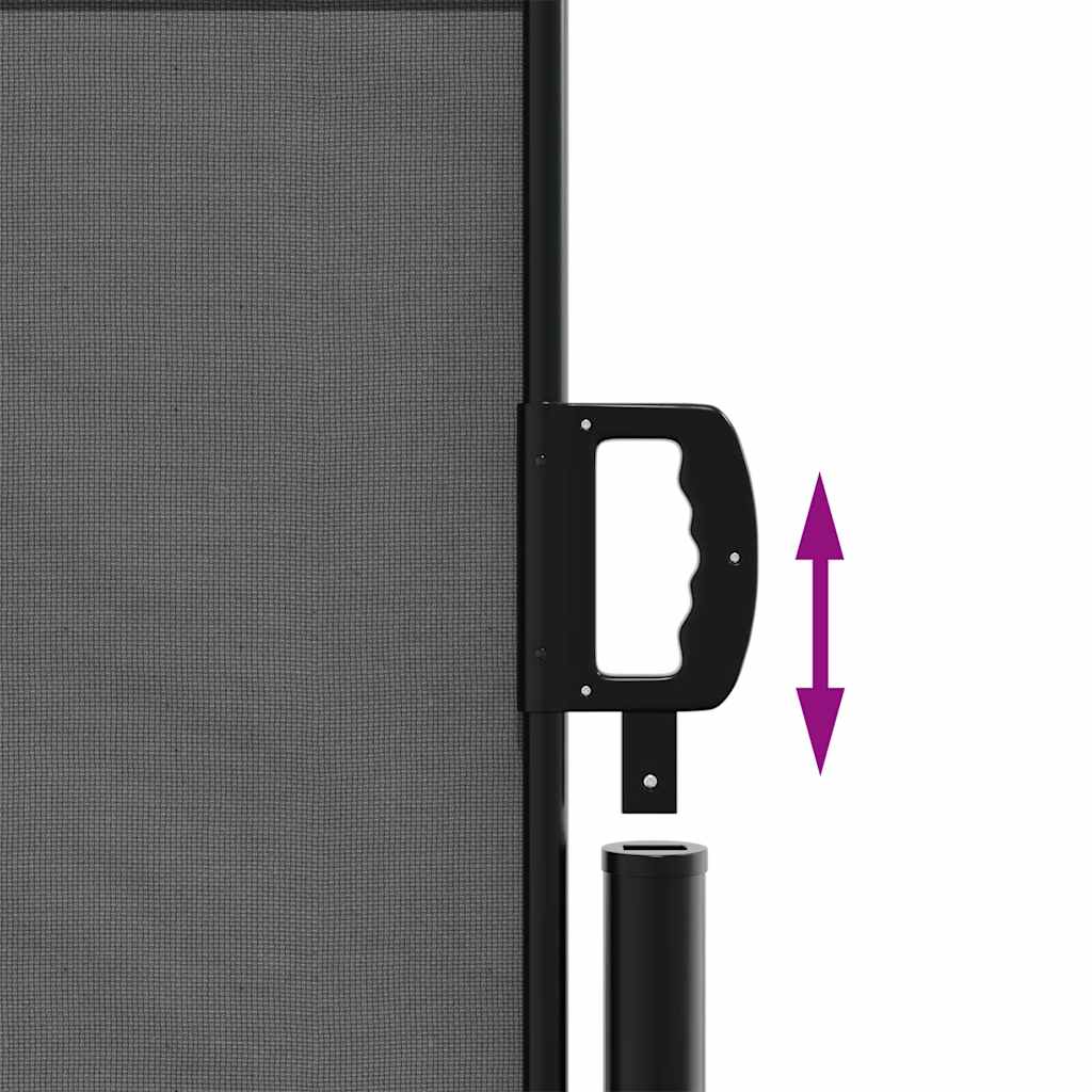 vidaXL Retractable Side Awning Anthracite