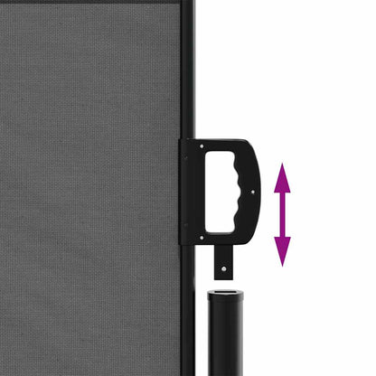 vidaXL Retractable Side Awning Anthracite