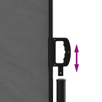 vidaXL Retractable Side Awning Anthracite Steel 63 x 236.2 in