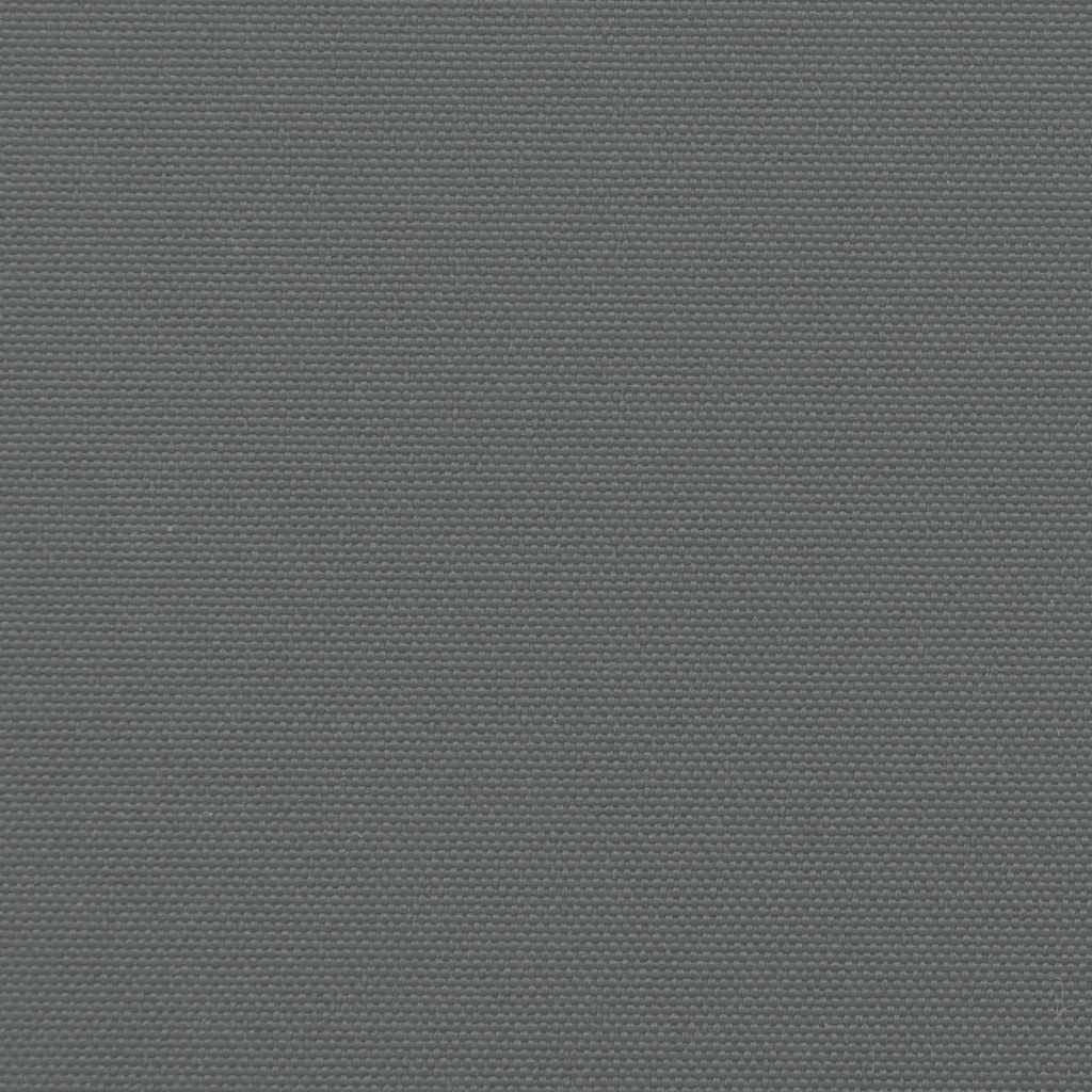 vidaXL Retractable Side Awning Anthracite Steel 63 x 236.2 in