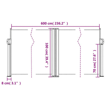 Retractable Side Awning Anthracite 100x600 cm