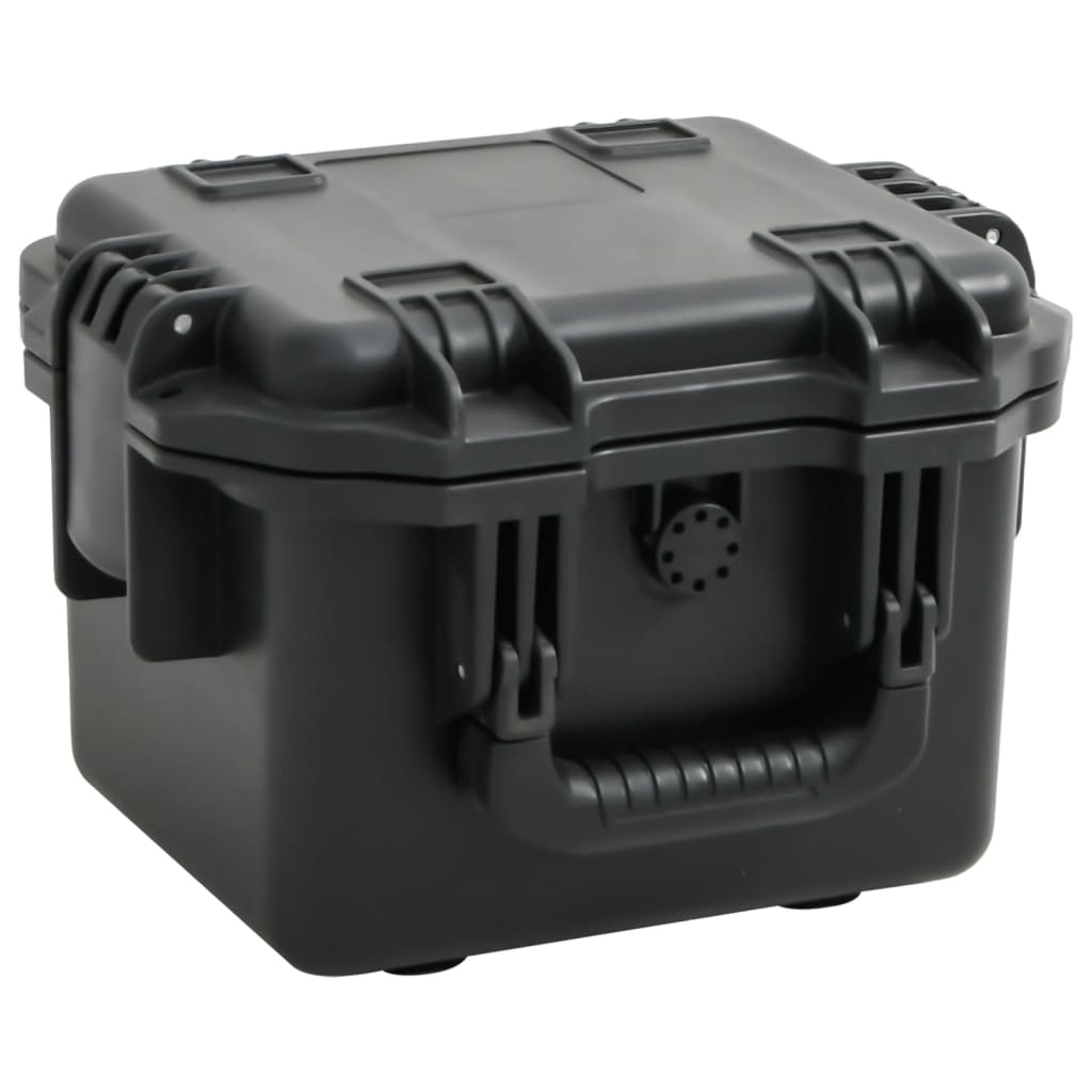Portable Flight Case Black 30x24,5x20 cm PP