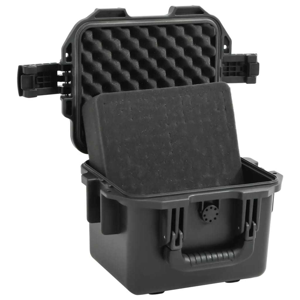 Portable Flight Case Black 30x24,5x20 cm PP