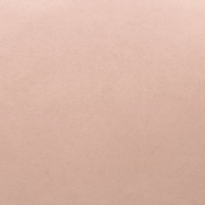 Silicone Breastplate Caucasian B Cup