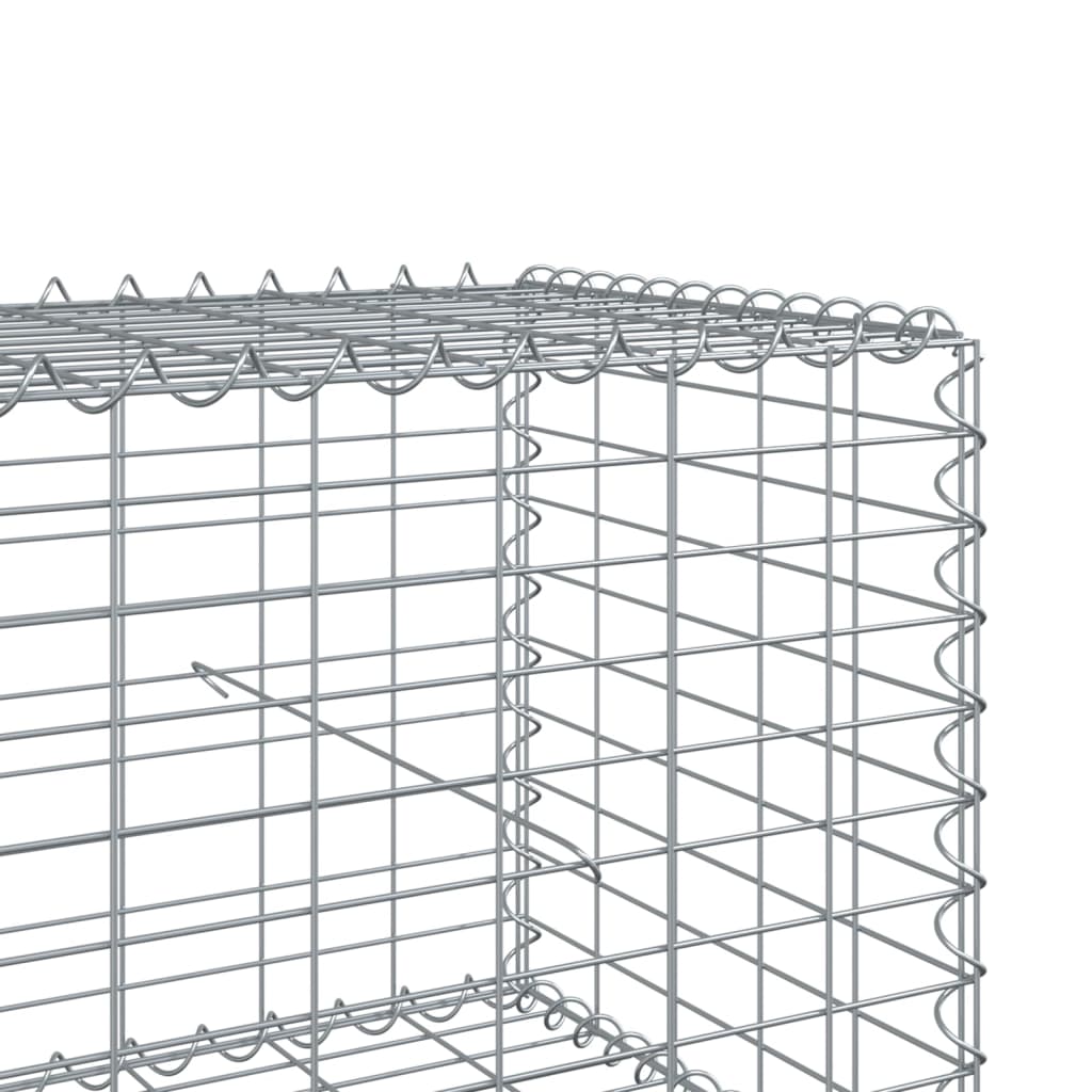 Gabion Basket with Cover 200x50x50 cm Galvanised Iron