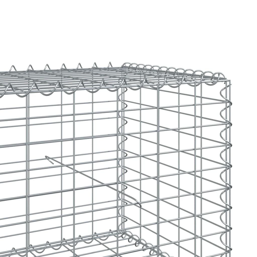 Gabion Basket with Cover 300x50x50 cm Galvanised Iron