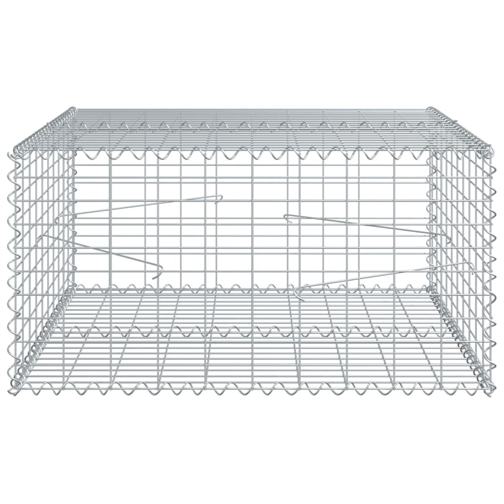 Gabion Basket with Cover 100x100x50 cm Galvanised Iron