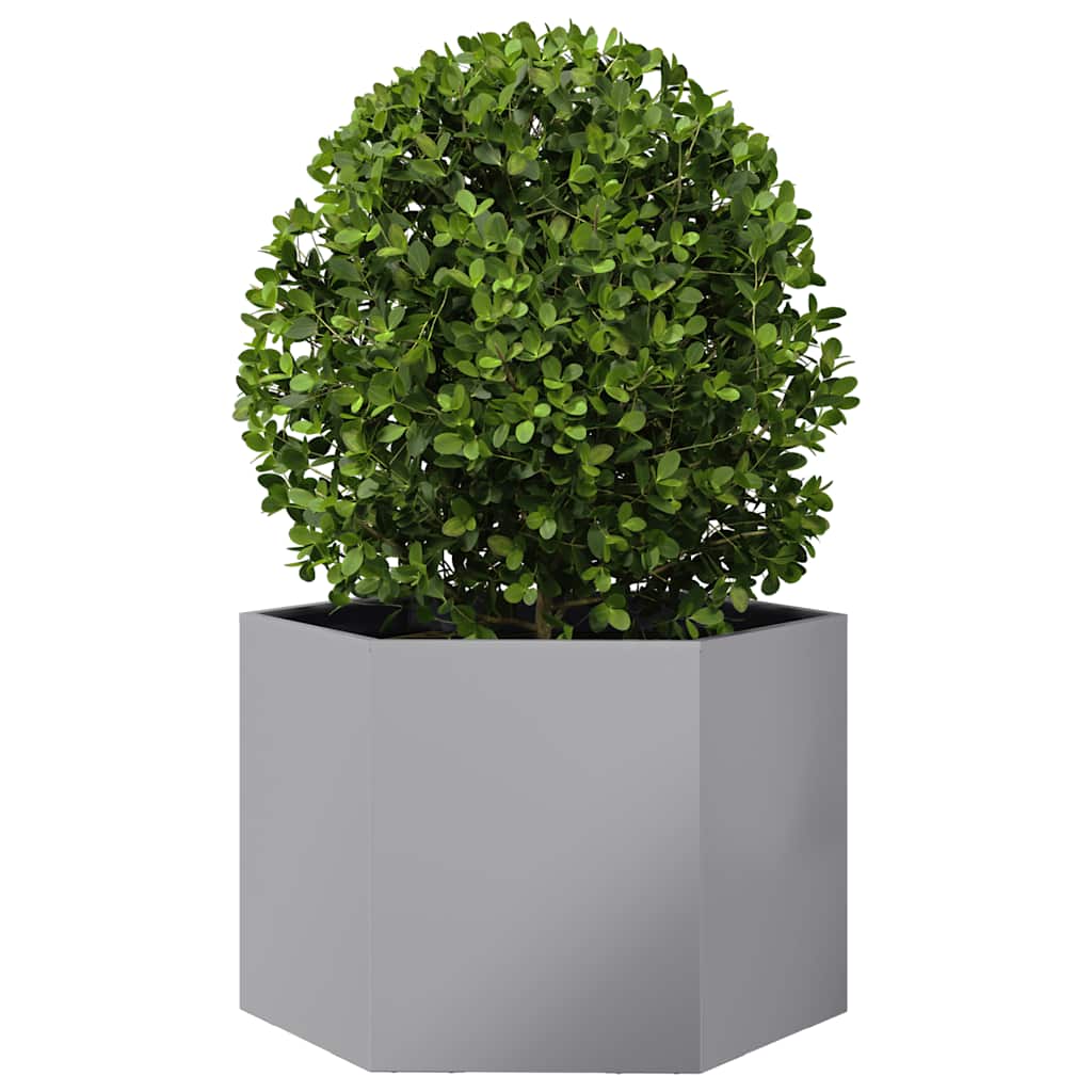 Garden Planter Hexagon 69x60x45 cm Galvanized Steel