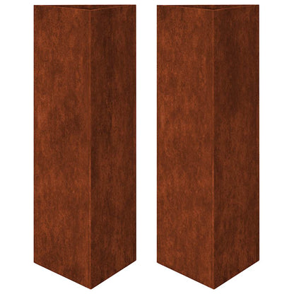 Garden Planter Set of 2 Brown (will develop over time)
