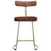 Bar Stools 2 pcs 49x43x79 cm Solid Wood Mango