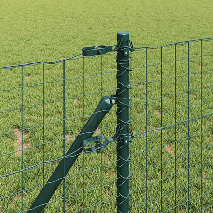 Fence with Post Green 0.6 x 50 m Steel and PVC