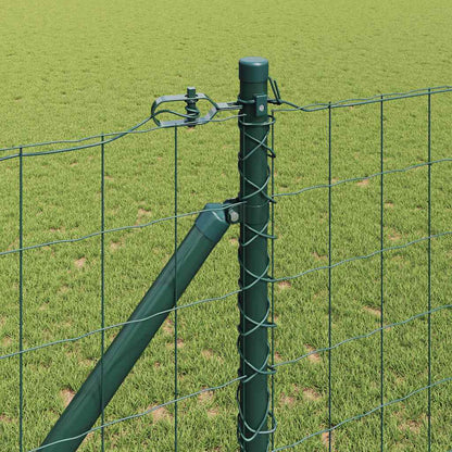Euro Fence with Spikes 10 x 1 m PVC-Coated Steel Green Mesh