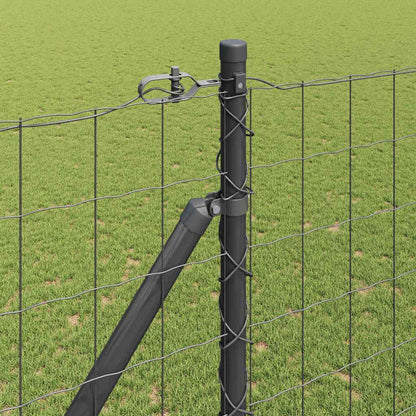 Euro Fence with Spikes 10 x 1.6 m PVC-Coated Steel Grey Mesh