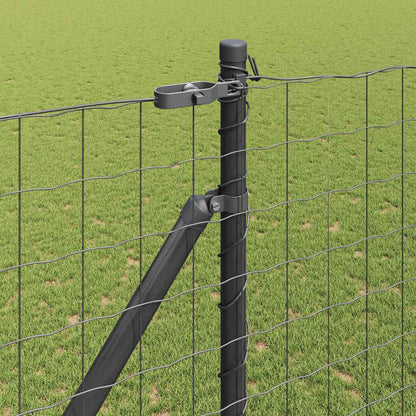 Euro Fence with Spikes 10 x 1.6 m PVC-Coated Steel Grey Mesh