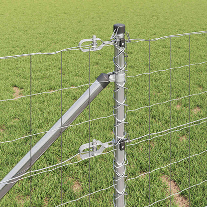 Outdoor Euro Fence with Spikes 10 x 1 m Galvanised Steel Silver