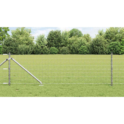Euro Fence with Spikes 25 x 0.8 m Galvanised Steel Silver Mesh