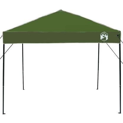 Pop-up Canopy Tent Green 250 x 250 cm Fabric