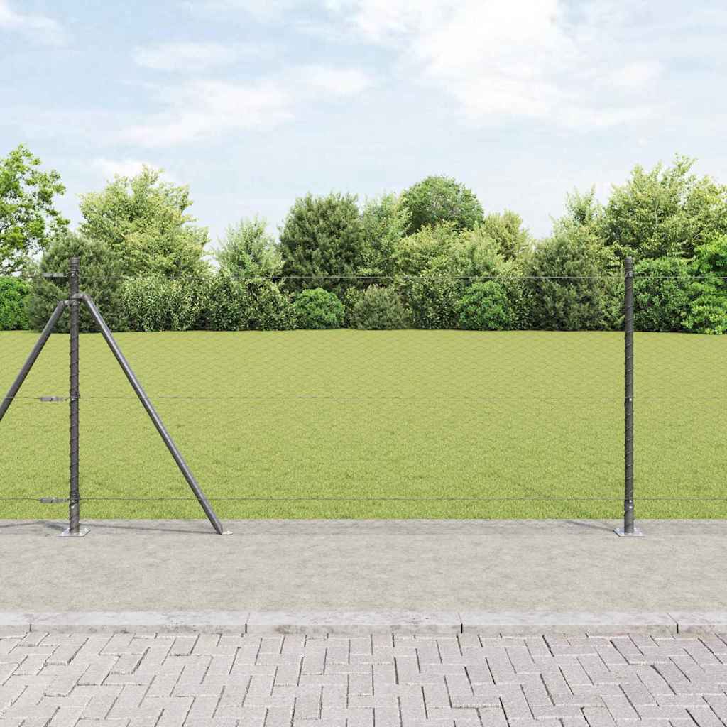 Hexagonal Fence with Concrete Base 10 x 0.8 m PVC-Coated Steel