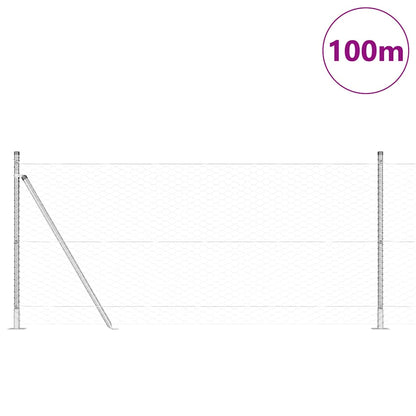 Hexagonal Fence with Concrete Base 100 x 0.8 m Galvanised Steel
