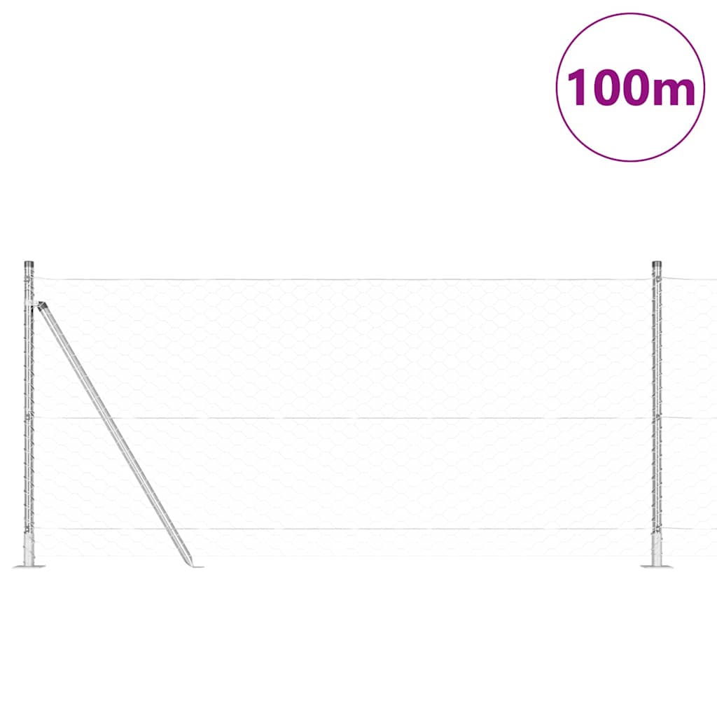 Hexagonal Fence with Concrete Base 100 x 1 m Galvanised Steel