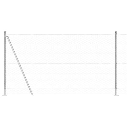Fence Post Silver