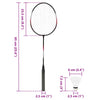 Badminton Set with 2 Rackets. Net & Storage Case 292x30x152 cm