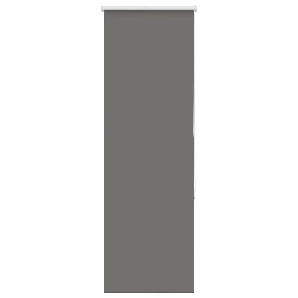 Roller Blind Blackout Grey 60x130 cm Fabric Width 55,7 cm Polyester