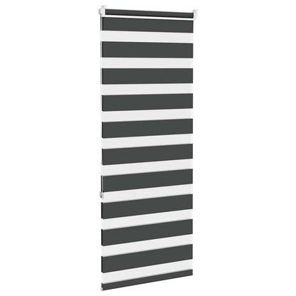 Zebra Blind Black 60x150 cm Fabric Width 55.9 cm Polyester