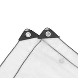 Clear Tarpaulin with Eyelets 1x2 m Polyethylene