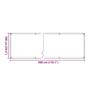 Clear Tarpaulin with Eyelets 1x3 m Polyethylene