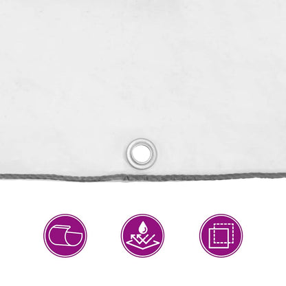 Clear Tarpaulin with Eyelets 2x5 m Polyethylene