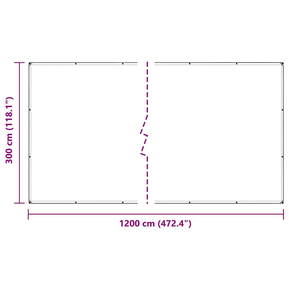 Clear Tarpaulin with Eyelets 3x12 m Polyethylene