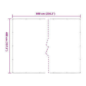 Clear Tarpaulin with Eyelets 4x6 m Polyethylene