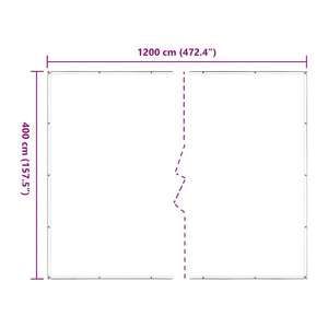 Clear Tarpaulin with Eyelets 4x12 m Polyethylene