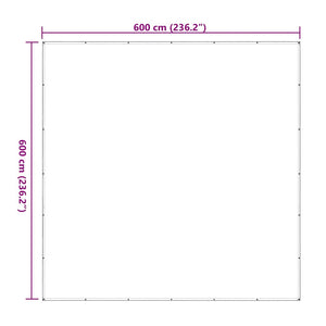 Clear Tarpaulin with Eyelets 6x6 m Polyethylene