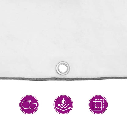 Clear Tarpaulin with Eyelets 6x10 m Polyethylene