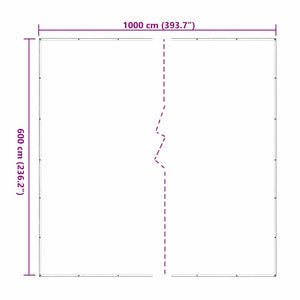 Clear Tarpaulin with Eyelets 6x10 m Polyethylene