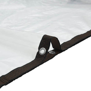 Clear Tarpaulin with Eyelets 3x5 m Polyethylene