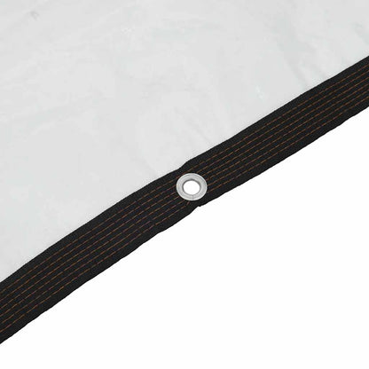 Clear Tarpaulin with Eyelets 9.8x19.7' Polyethylene