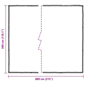 Clear Tarpaulin with Eyelets 3x8 m Polyethylene