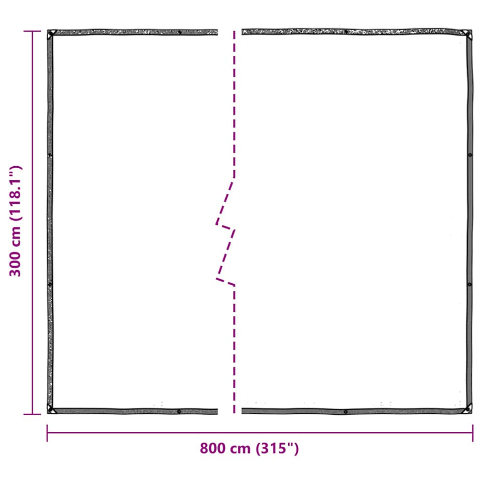 Clear Tarpaulin with Eyelets 3x8 m Polyethylene